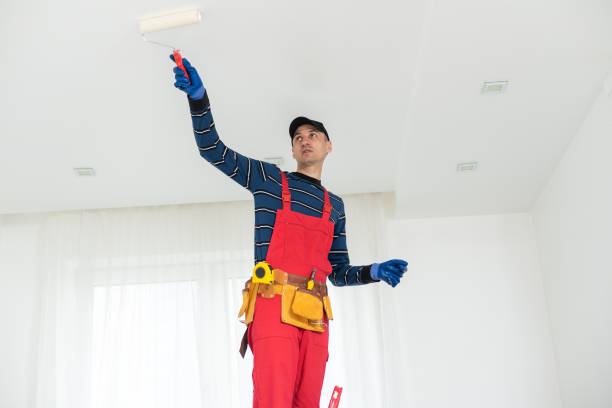 Best Water-Damaged Drywall Repair  in Little Falls, NY